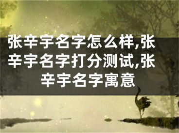 张辛宇名字怎么样,张辛宇名字打分测试,张辛宇名字寓意