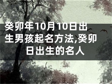 癸卯年10月10日出生男孩起名方法,癸卯日出生的名人