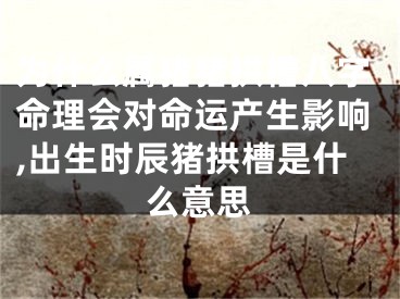 为什么属猪猪拱槽八字命理会对命运产生影响,出生时辰猪拱槽是什么意思