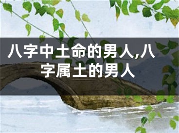 八字中土命的男人,八字属土的男人