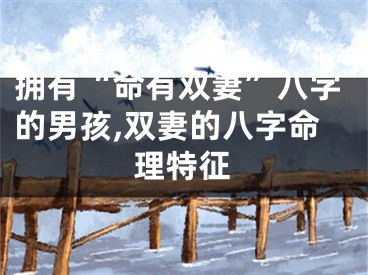 拥有“命有双妻”八字的男孩,双妻的八字命理特征