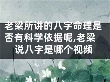 老梁所讲的八字命理是否有科学依据呢,老梁说八字是哪个视频
