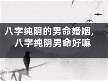 八字纯阴的男命婚姻,八字纯阴男命好嘛