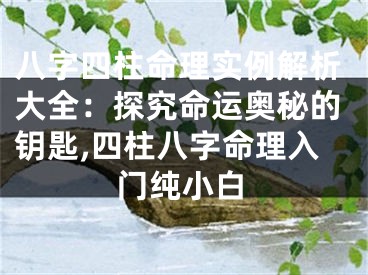 八字四柱命理实例解析大全：探究命运奥秘的钥匙,四柱八字命理入门纯小白