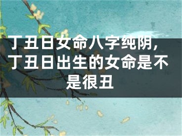 丁丑日女命八字纯阴,丁丑日出生的女命是不是很丑