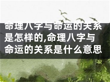 命理八字与命运的关系是怎样的,命理八字与命运的关系是什么意思