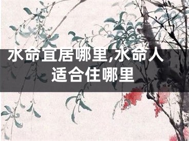 水命宜居哪里,水命人适合住哪里