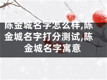 陈金城名字怎么样,陈金城名字打分测试,陈金城名字寓意