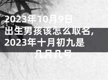 2023年10月9日出生男孩该怎么取名,2023年十月初九是几月几号