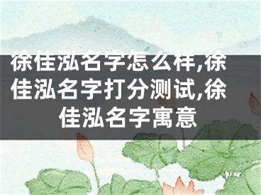 徐佳泓名字怎么样,徐佳泓名字打分测试,徐佳泓名字寓意
