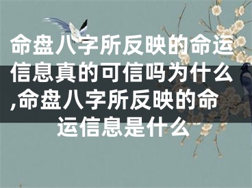命盘八字所反映的命运信息真的可信吗为什么,命盘八字所反映的命运信息是什么