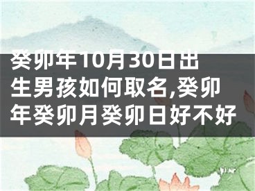 癸卯年10月30日出生男孩如何取名,癸卯年癸卯月癸卯日好不好