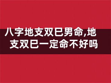 八字地支双巳男命,地支双巳一定命不好吗