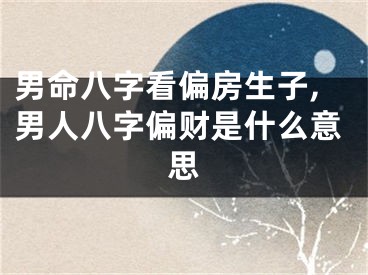 男命八字看偏房生子,男人八字偏财是什么意思
