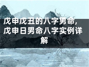 戊申戊丑的八字男命,戊申日男命八字实例详解
