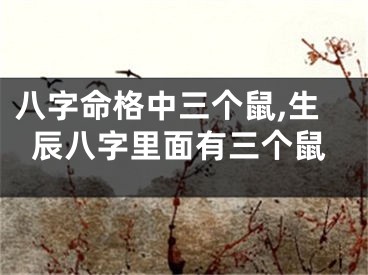 八字命格中三个鼠,生辰八字里面有三个鼠