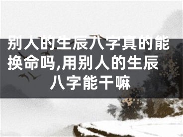 别人的生辰八字真的能换命吗,用别人的生辰八字能干嘛
