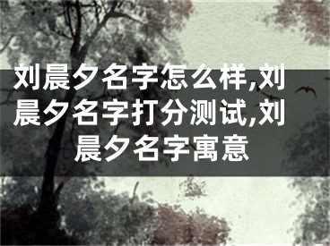 刘晨夕名字怎么样,刘晨夕名字打分测试,刘晨夕名字寓意