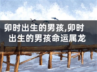 卯时出生的男孩,卯时出生的男孩命运属龙
