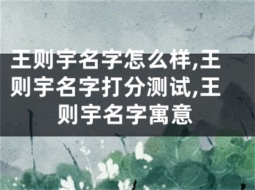 王则宇名字怎么样,王则宇名字打分测试,王则宇名字寓意