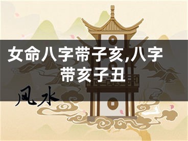 女命八字带子亥,八字带亥子丑