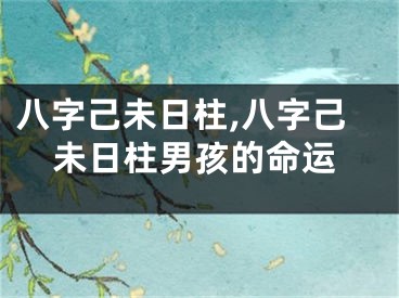八字己未日柱,八字己未日柱男孩的命运