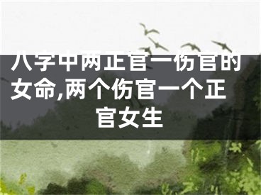 八字中两正官一伤官的女命,两个伤官一个正官女生