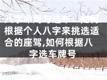 八字命局与选车：如何根据个人八字来挑选适合的座驾,如何根据八字选车牌号