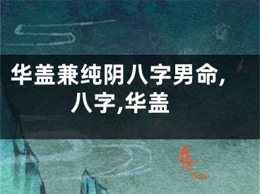 华盖兼纯阴八字男命,八字,华盖