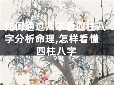 如何通过八字看四柱八字分析命理,怎样看懂四柱八字