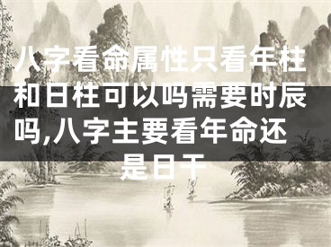 八字看命属性只看年柱和日柱可以吗需要时辰吗,八字主要看年命还是日干
