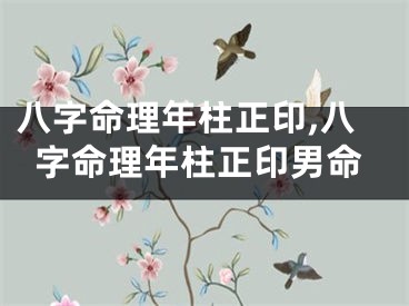 八字命理年柱正印,八字命理年柱正印男命