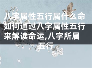 八字属性五行属什么命如何通过八字属性五行来解读命运,八字所属五行