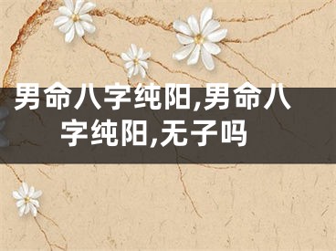 男命八字纯阳,男命八字纯阳,无子吗