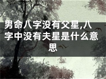男命八字没有父星,八字中没有夫星是什么意思