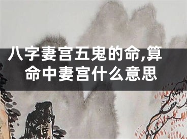 八字妻宫五鬼的命,算命中妻宫什么意思