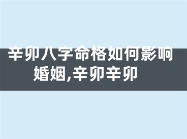 辛卯八字命格如何影响婚姻,辛卯辛卯