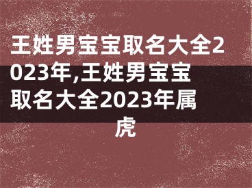 王姓男宝宝取名大全2023年,王姓男宝宝取名大全2023年属虎