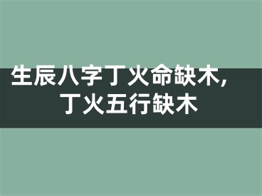 生辰八字丁火命缺木,丁火五行缺木