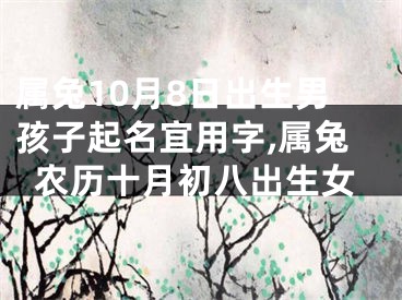 属兔10月8日出生男孩子起名宜用字,属兔农历十月初八出生女