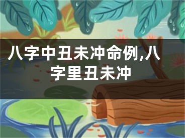 八字中丑未冲命例,八字里丑未冲
