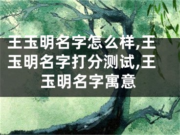王玉明名字怎么样,王玉明名字打分测试,王玉明名字寓意