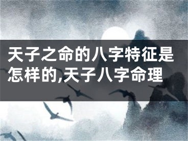 天子之命的八字特征是怎样的,天子八字命理