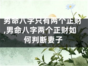 男命八字只有两个正财,男命八字两个正财如何判断妻子