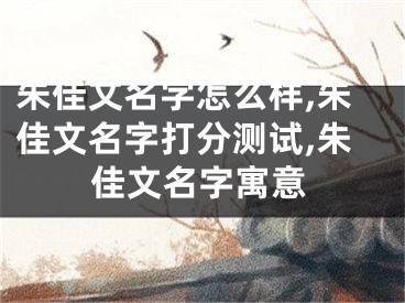 朱佳文名字怎么样,朱佳文名字打分测试,朱佳文名字寓意
