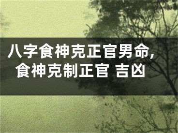 八字食神克正官男命,食神克制正官 吉凶