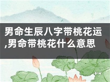 男命生辰八字带桃花运,男命带桃花什么意思