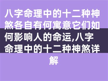 八字命理中的十二种神煞各自有何寓意它们如何影响人的命运,八字命理中的十二种神煞详解