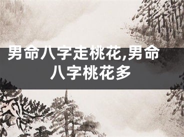 男命八字走桃花,男命八字桃花多