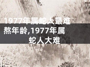 1977年属蛇人最难熬年龄,1977年属蛇人大难